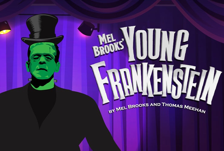 More Info for Mel Brooks' Young Frankenstein